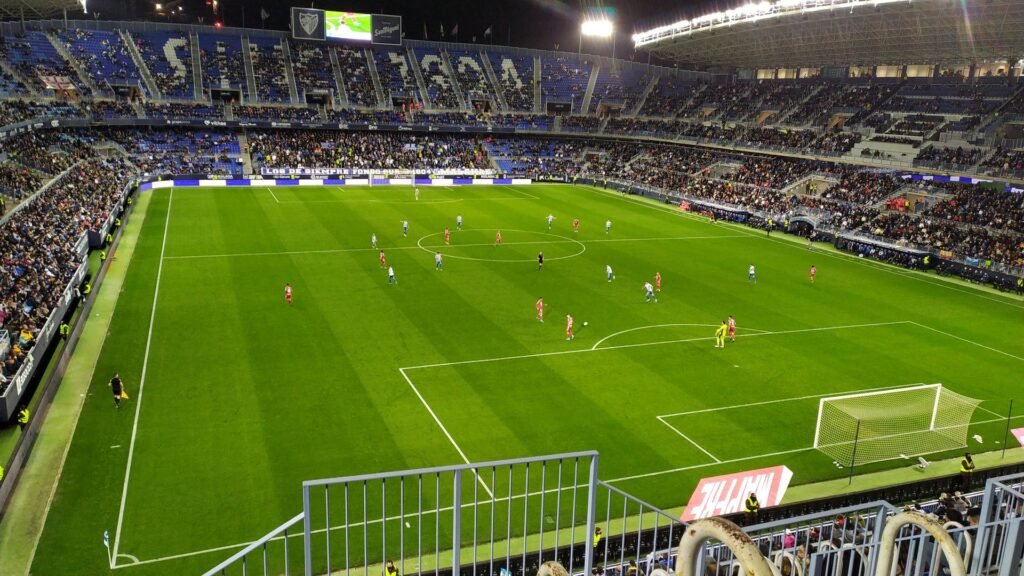 La Rosaleda